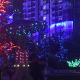 (Category: ) located in . Submitted by seyhhhaa (Listing ID 1385305608, Image 1). Description: .