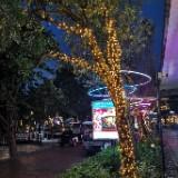 (Category: ) located in . Submitted by khim.888 (Listing ID 1294728875, Image 1). Description: .