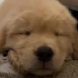 (Category: ) located in . Submitted by knmngt (Listing ID 1380737197, Image 1). Description: .