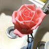 (Category: ) located in . Submitted by applezebra (Listing ID 59172006, Image 1). Description: .