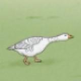 (Category: ) located in . Submitted by yassfish (Listing ID 1384335279, Image 1). Description: .