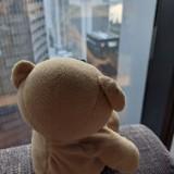 (Category: ) located in . Submitted by berrybear027 (Listing ID 1336837044, Image 1). Description: .