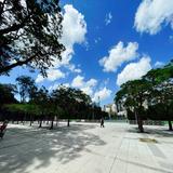 （分類：）位於 。 由 estrellaabc 提交（商品編號 1131784519，圖片 1）。簡介： 。