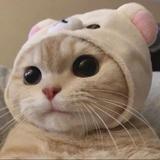 （分類：）位於 。 由 mrjoe531 提交（商品編號 1137839263，圖片 1）。簡介： 。