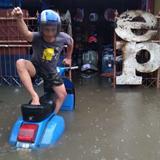 (Kategori: ) berada di . Dikirim oleh sinnershop (ID iklan 1376490514, Gambar 1). Deskripsi: .