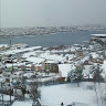 (Category: ) located in . Submitted by ayman500 (Listing ID 1464376793, Image 1). Description: .