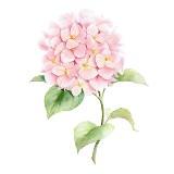 （分類：）位於 。 由 diane_li 提交（商品編號 1386786226，圖片 1）。簡介： 。