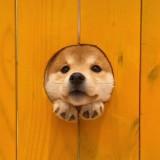 (Category: ) located in . Submitted by man.de (Listing ID 1380265291, Image 1). Description: .