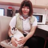 由 anan0601 (刊登 ID 1383829817，圖片 1) 提交，位於 的 (類別：)，說明：。