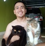 (Kategori: ) berada di . Dikirim oleh holli_2910 (ID iklan 1350124835, Gambar 1). Deskripsi: .