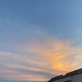 (Category: ) located in . Submitted by wniee (Listing ID 1461613657, Image 1). Description: .