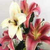 （分類：）位於 。 由 amy_0101 提交（商品編號 1298332463，圖片 1）。簡介： 。
