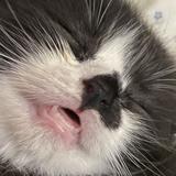 (Category: ) located in . Submitted by mixxx19 (Listing ID 1384097608, Image 1). Description: .