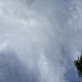 (Category: ) located in . Submitted by itgadgetseller (Listing ID 158745628, Image 1). Description: .