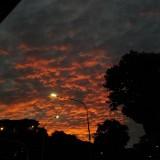(Category: ) located in . Submitted by thoraa (Listing ID 1379106503, Image 1). Description: .