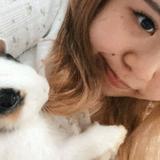 (分類:)位於 。 由 schan032 提交(商品編號 1460082646,圖片 1)。簡介: 。