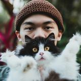(Category: ) located in . Submitted by theyungchow (Listing ID 1364018795, Image 1). Description: .