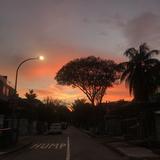 (Category: ) located in . Submitted by annayim (Listing ID 1380196433, Image 1). Description: .