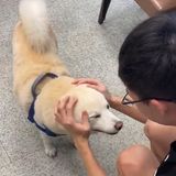 由 ccturfsgreat (刊登 ID 1368035516，圖片 1) 提交，位於 的 (類別：)，說明：。