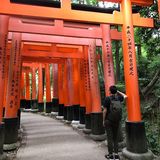 (分類:)位於 。 由 somanho0323 提交(商品編號 1455160878,圖片 1)。簡介: 。