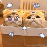 (Category: ) located in . Submitted by _huiiiiiii (Listing ID 1374120081, Image 1). Description: .