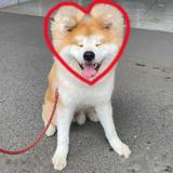 由 chun_chan (刊登 ID 41707118，圖片 1) 提交，位於 的 (類別：)，說明：。