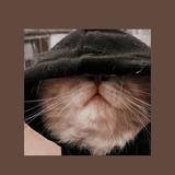 (Category: ) located in . Submitted by banbun (Listing ID 1348107103, Image 1). Description: .