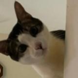 (Category: ) located in . Submitted by fj47sjr (Listing ID 1345574859, Image 1). Description: .