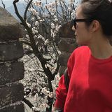 （分類：）位於 。 由 ning905 提交（商品編號 1267901715，圖片 1）。簡介： 。
