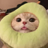 (Category: ) located in . Submitted by aylanameow (Listing ID 1453657543, Image 1). Description: .