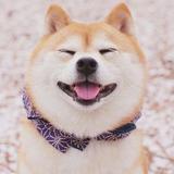 （分類：）位於 。 由 annalove520 提交（商品編號 1286594489，圖片 1）。簡介： 。