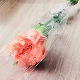 （分類：）位於 。 由 carolcarol_lee 提交（商品編號 1116402290，圖片 1）。簡介： 。