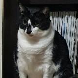 (Category: ) located in . Submitted by gablabgah (Listing ID 1377755107, Image 1). Description: .