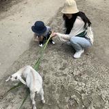 由 chuchufla (刊登 ID 1383765411，圖片 1) 提交，位於 的 (類別：)，說明：。