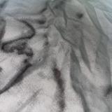 (Category: ) located in . Submitted by unicornpie (Listing ID 1379966976, Image 1). Description: .