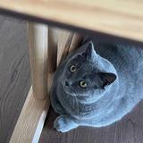 （分類：）位於 。 由 vickyyyyy1199 提交（商品編號 1384324538，圖片 1）。簡介： 。