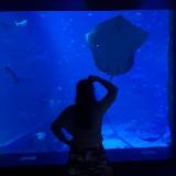 (Category: ) located in . Submitted by helen_n (Listing ID 1377345621, Image 1). Description: .