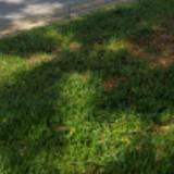 (Category: ) located in . Submitted by bbshp (Listing ID 1317409479, Image 1). Description: .