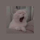 (Category: ) located in . Submitted by shakbuyban (Listing ID 1382748195, Image 1). Description: .