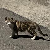 由 oui_oui (刊登 ID 1382844537，圖片 1) 提交，位於 的 (類別：)，說明：。