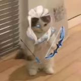 (Category: ) located in . Submitted by keeby (Listing ID 1310446317, Image 1). Description: .