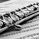 （分類：）位於 。 由 missfluteandpiano 提交（商品編號 1102236325，圖片 1）。簡介： 。