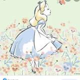 由 sillil_nie (刊登 ID 1381650233，圖片 1) 提交，位於 的 (類別：)，說明：。