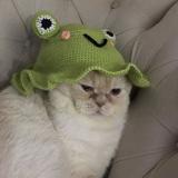 (Category: ) located in . Submitted by aspiringhermit (Listing ID 1367684684, Image 1). Description: .