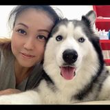 (Category: ) located in . Submitted by docheong (Listing ID 1381152495, Image 1). Description: .