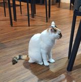 由 er.___. (刊登 ID 1382307959，圖片 1) 提交，位於 的 (類別：)，說明：。