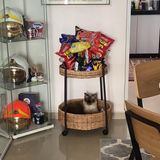 (Category: ) located in . Submitted by nursaryintan (Listing ID 1455852998, Image 1). Description: .