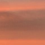 (Category: ) located in . Submitted by seasaltandvinegarchips (Listing ID 1357696220, Image 1). Description: .