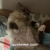 （分類：）位於 。 由 allenpiyo 提交（商品編號 1380670973，圖片 1）。簡介： 。