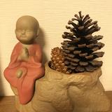 （分類：）位於 。 由 cracysale 提交（商品編號 1298065316，圖片 1）。簡介： 。